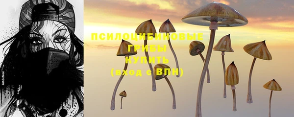 метамфетамин Гусев