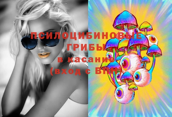 метамфетамин Гусев