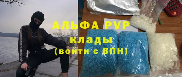 стафф Гусиноозёрск