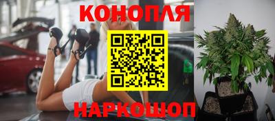 спайс Гусь-Хрустальный