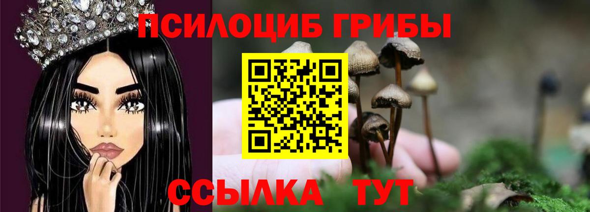 купить  сайты  Псилоцибиновые грибы MAGIC MUSHROOMS  Вход с VPN  Каспийск 